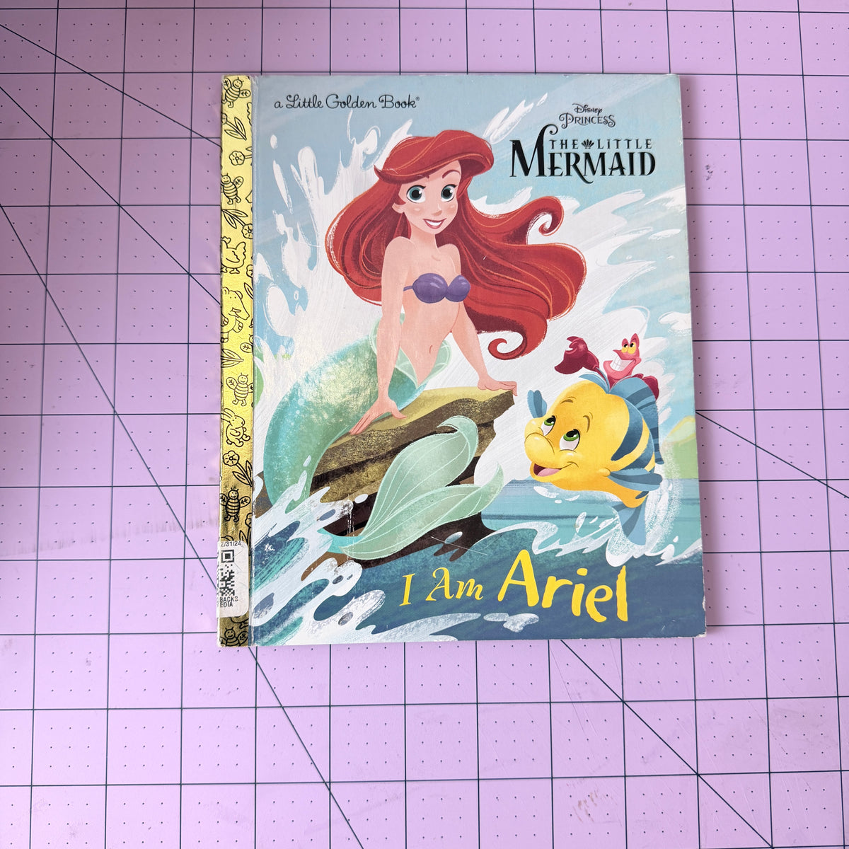 Custom Character Little Golden Book Journal or Planner | Choose Your Book