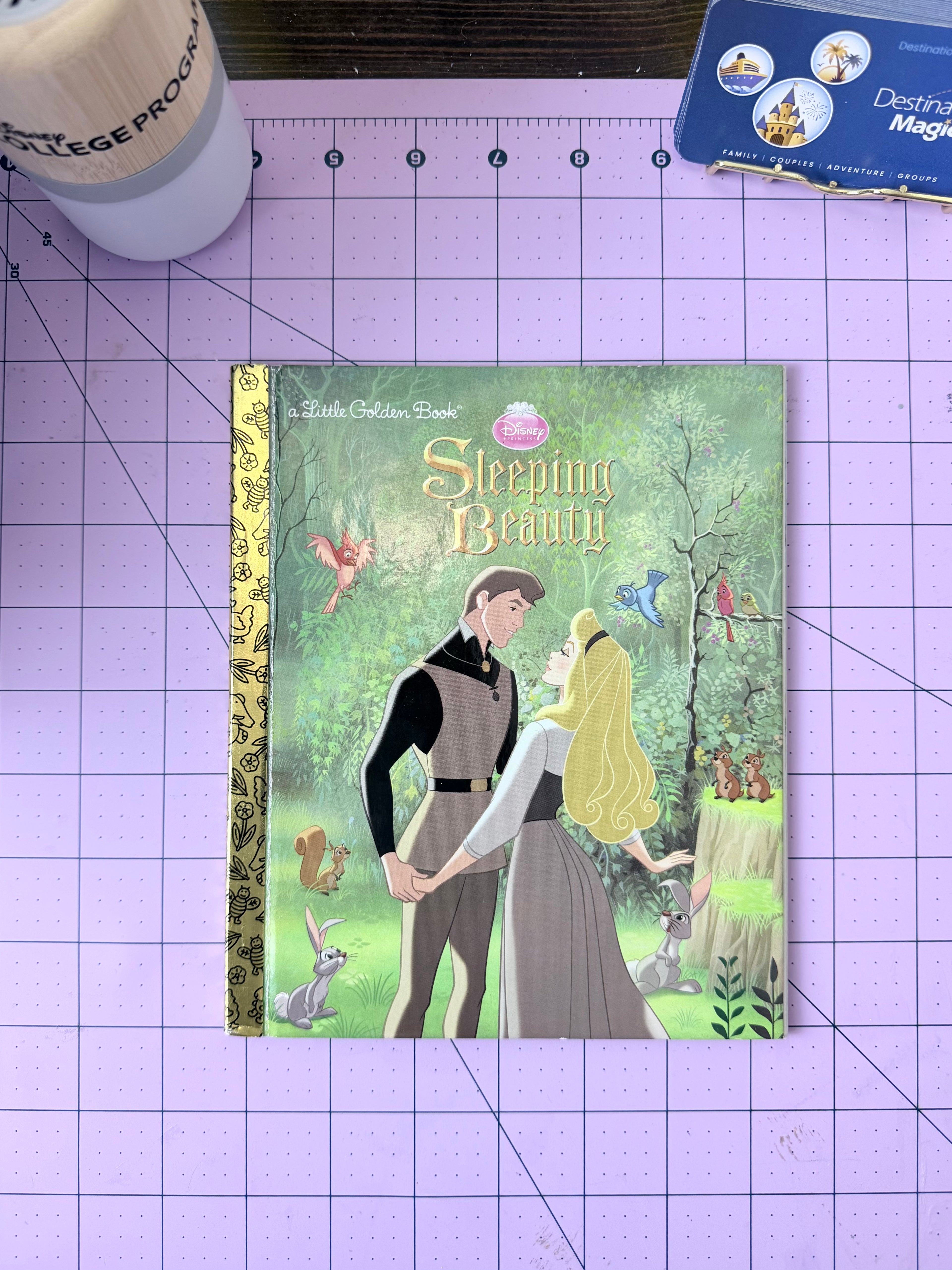 Custom Character Little Golden Book Journal or Planner | Choose Your Book
