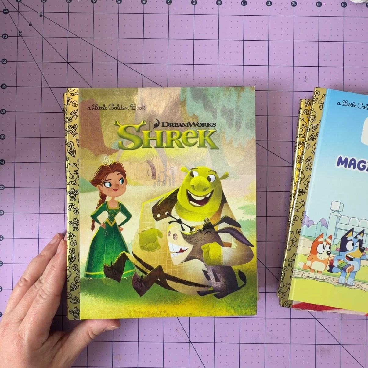 Custom Character Little Golden Book Journal or Planner | Choose Your Book