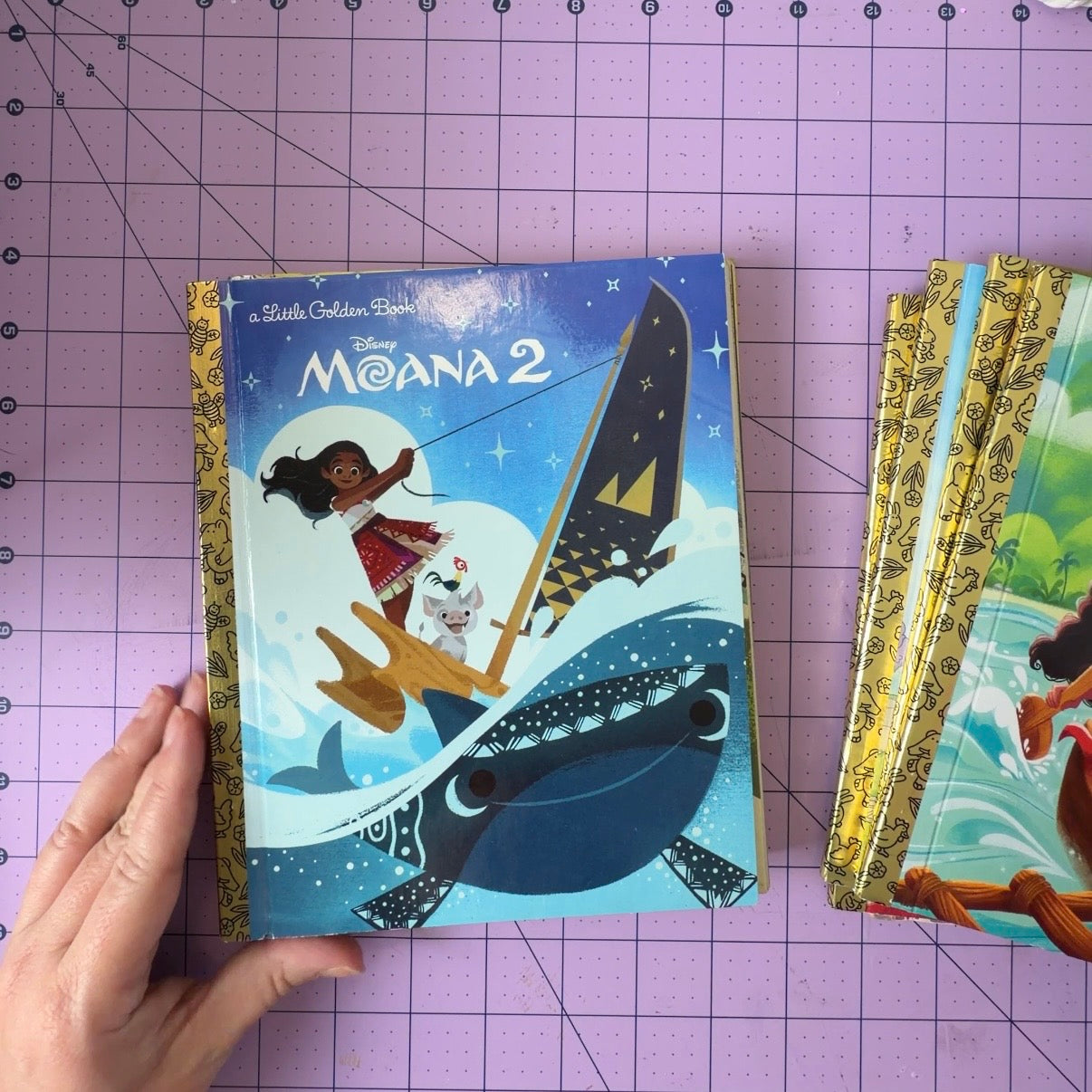 Custom Character Little Golden Book Journal or Planner | Choose Your Book