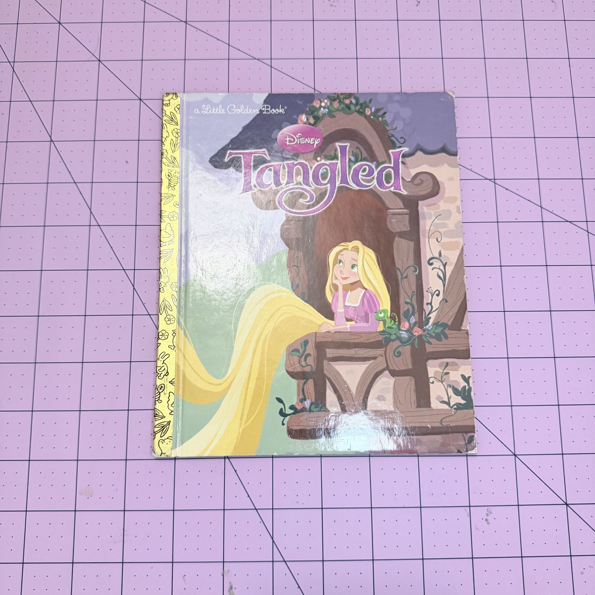Custom Character Little Golden Book Journal or Planner | Choose Your Book